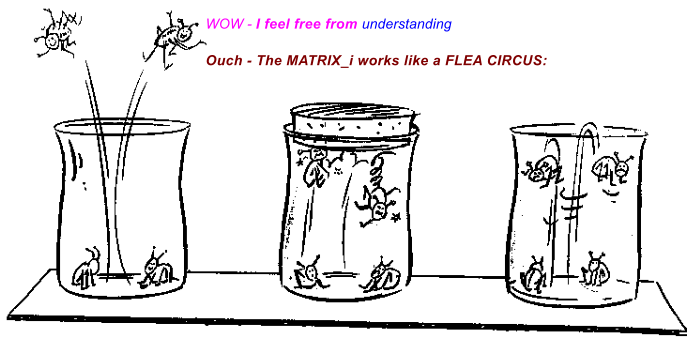Ouch - The MATRIX_i works like a FLEA CIRCUS: WOW - I feel free from understanding